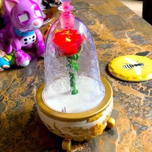 Beauty and Beast rose